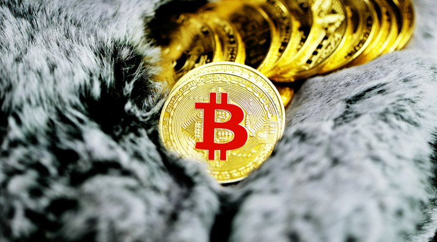Mengapa Bitcoin menjadi pilihan lindung nilai saat ketidakpastian ekonomi meningkat